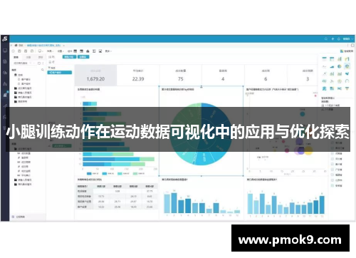 小腿训练动作在运动数据可视化中的应用与优化探索